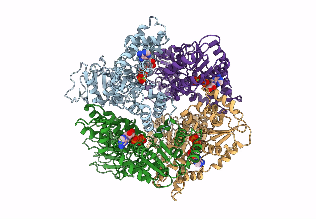 7JLV image