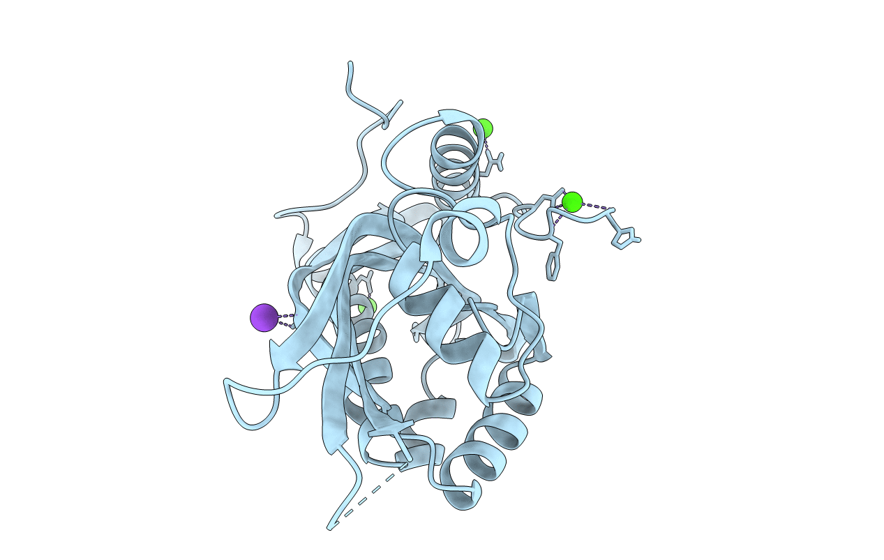 7JMR image