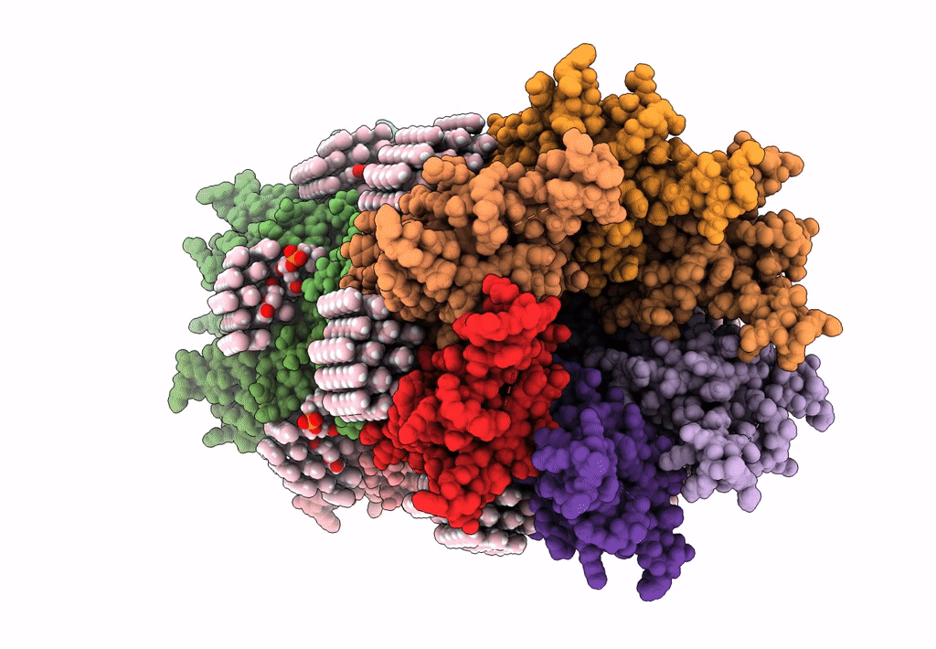 7JN1 image