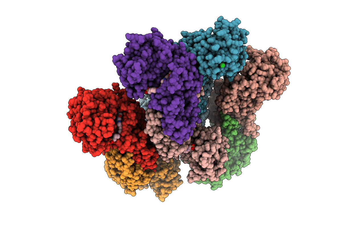 7JNT image