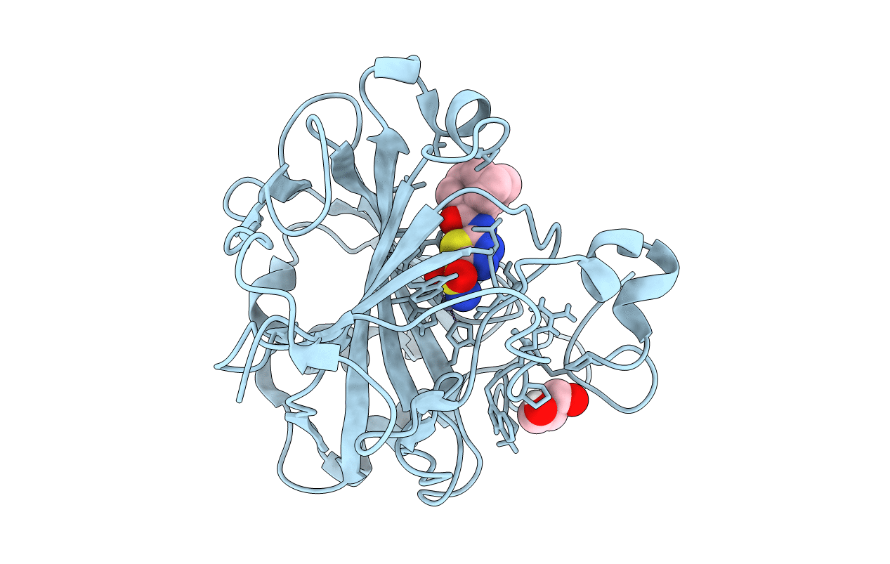 7JOC image