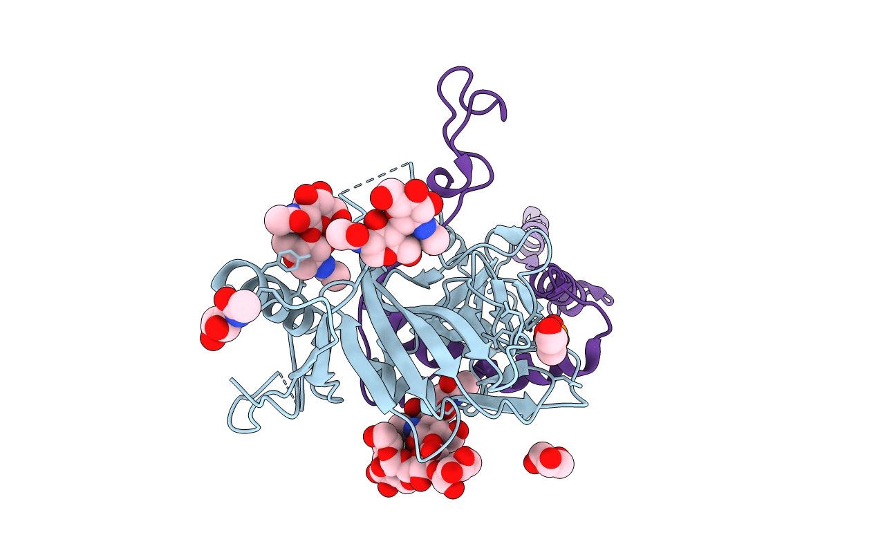 7JPI image