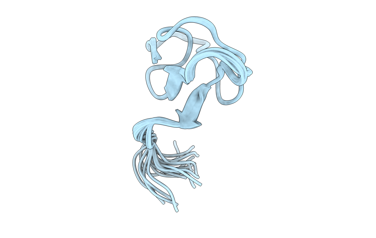 7JPM image