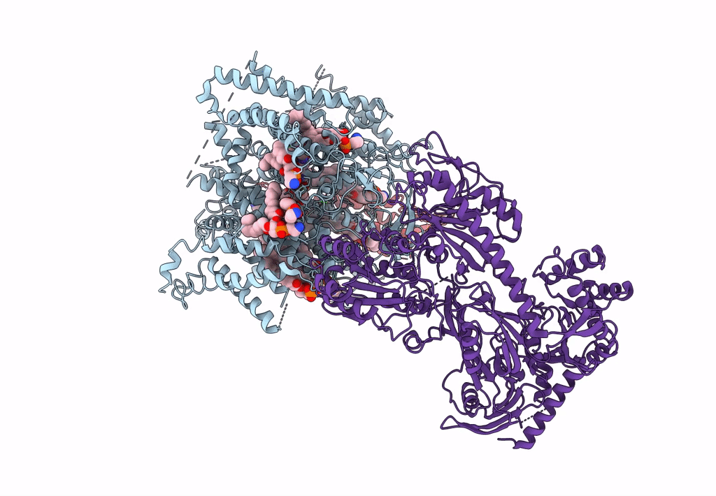 7JPX image