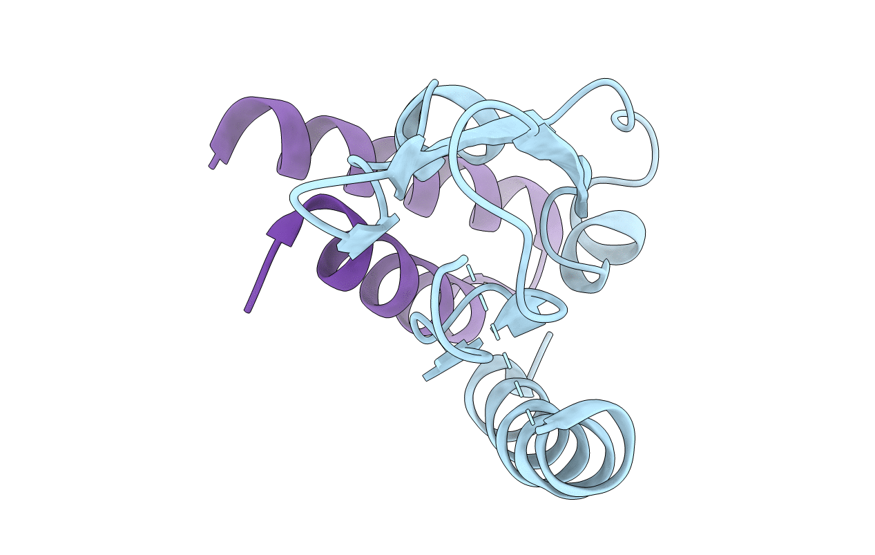 7JQD image