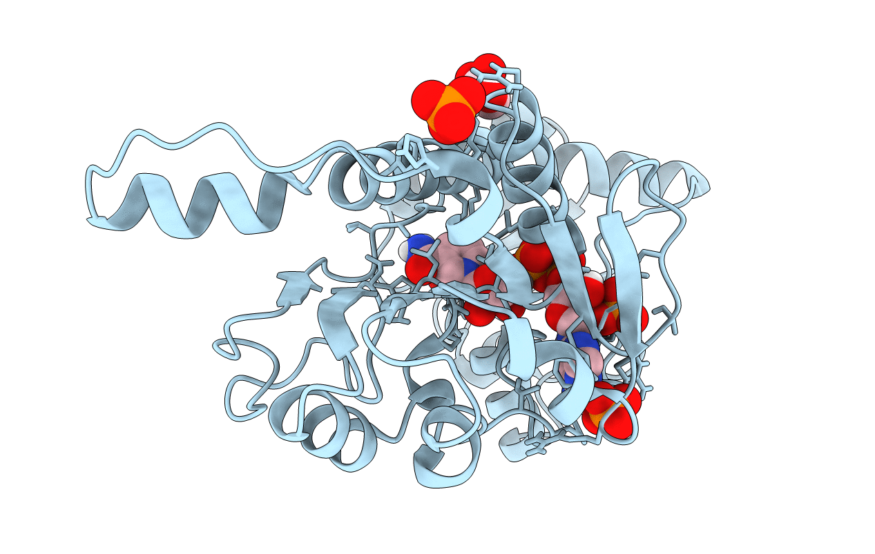 7JQH image