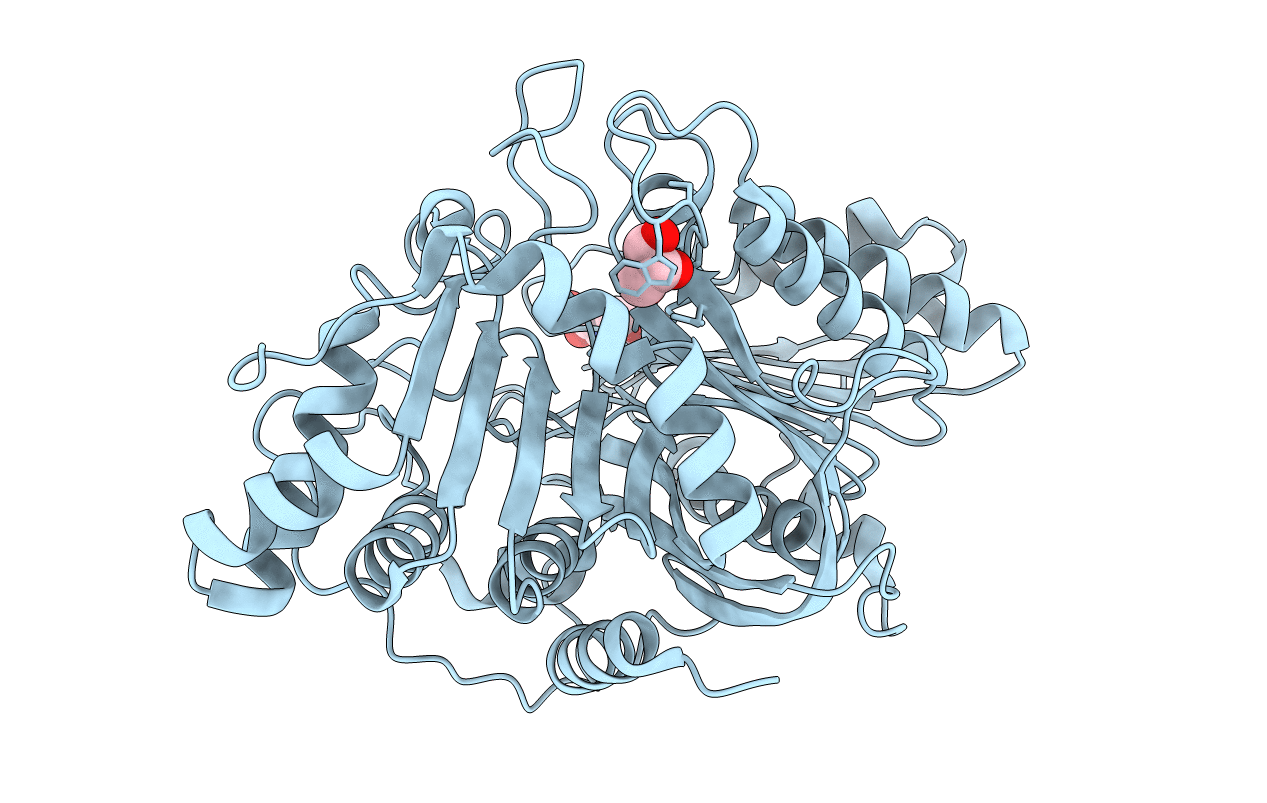 7JRB image