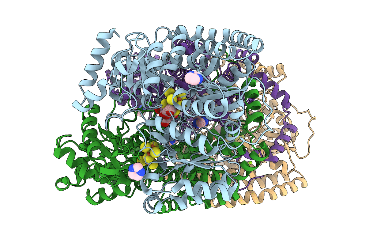 7JRF image