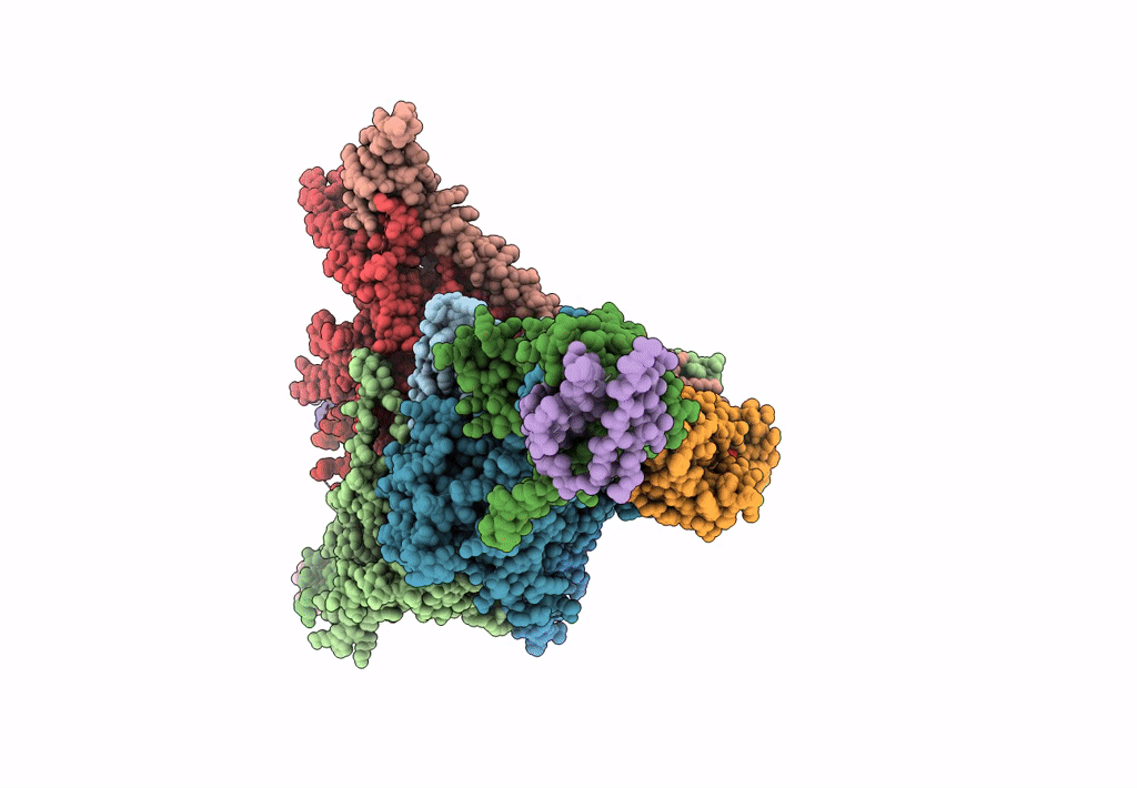 7JRJ image
