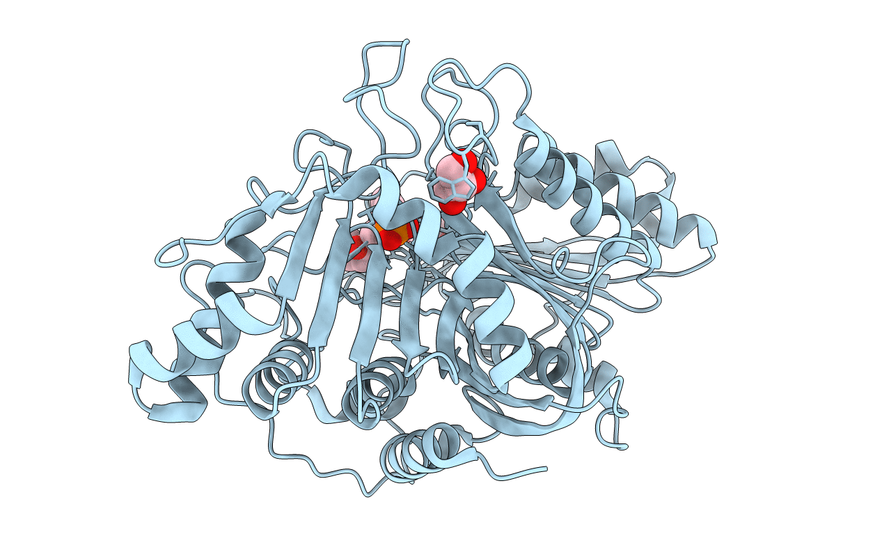 7JRV image