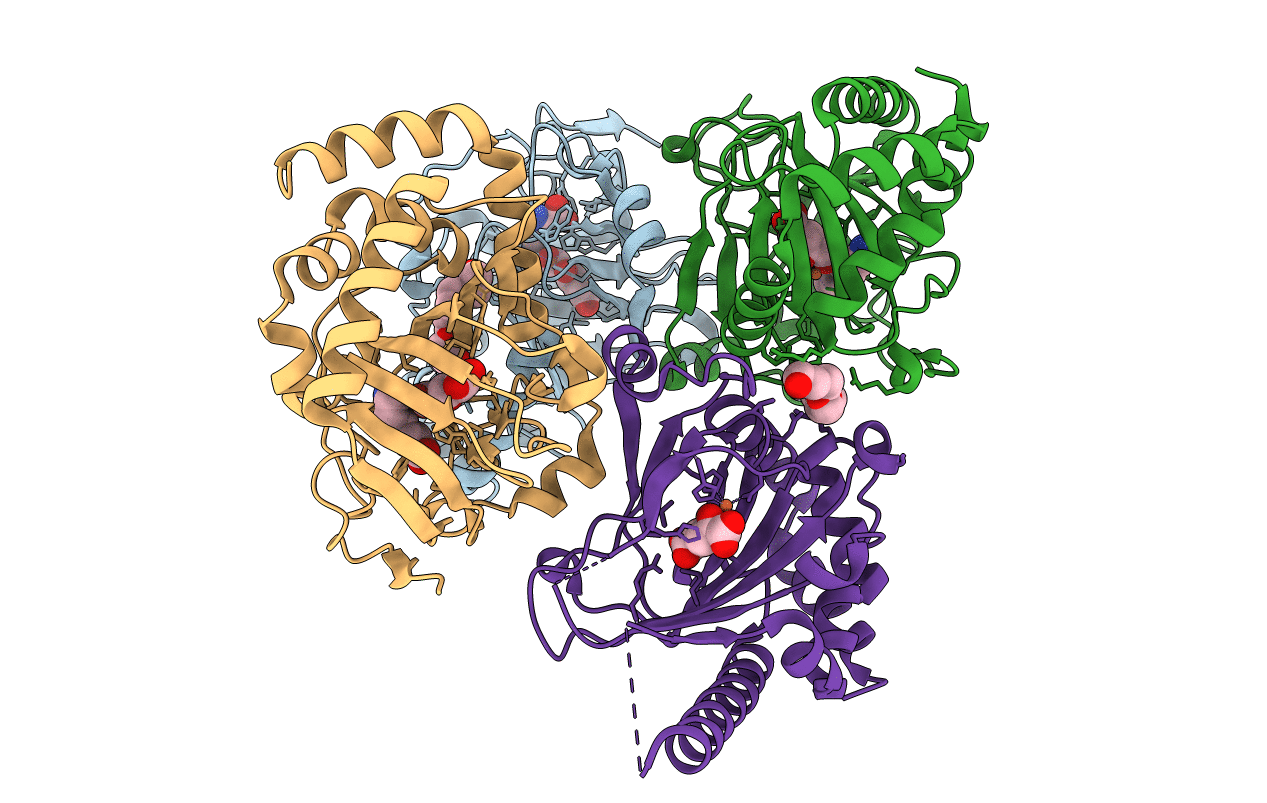 7JSD image