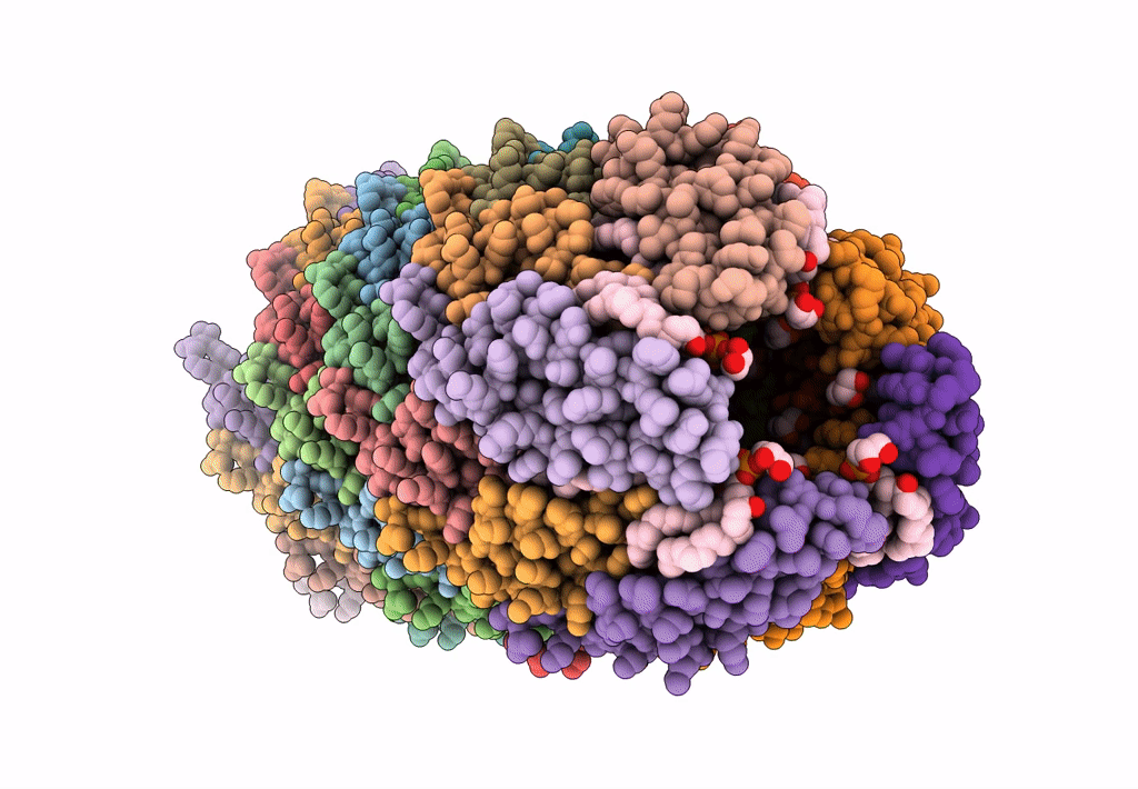 7JSV image