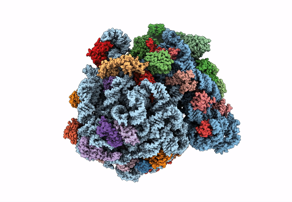 7JSZ image