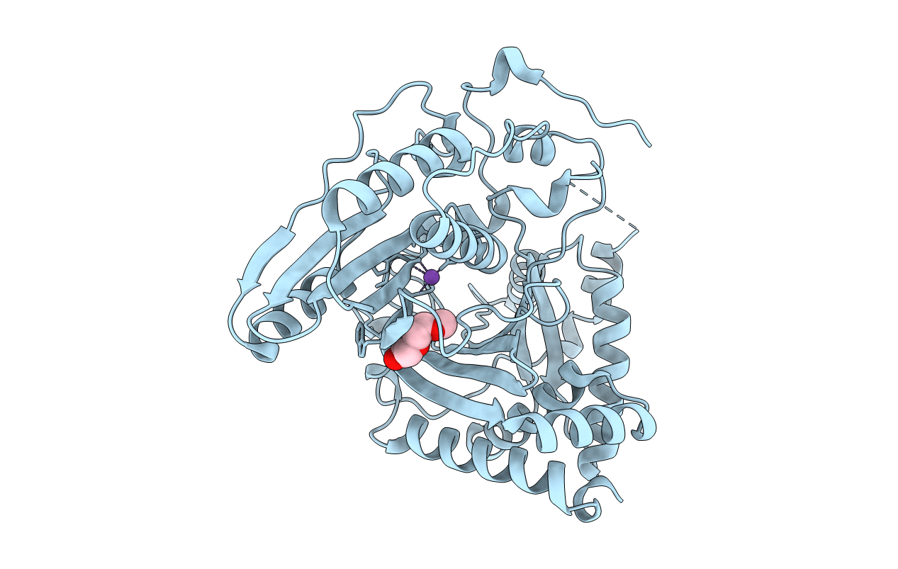 7JTJ image