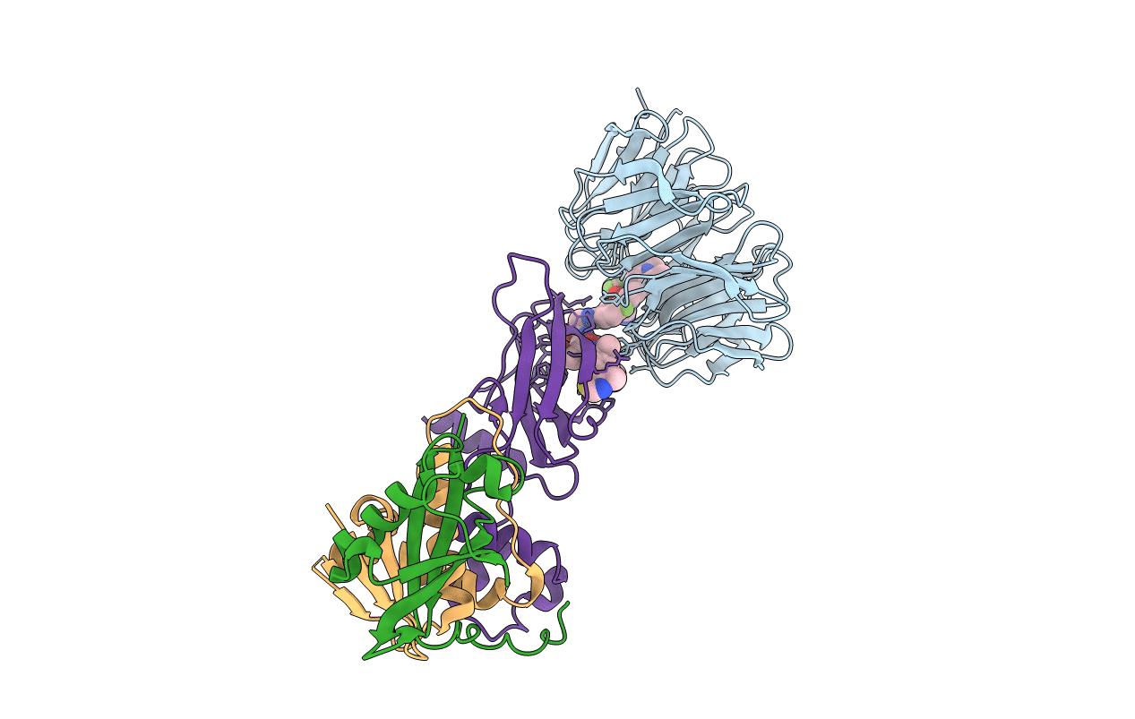 7JTP image
