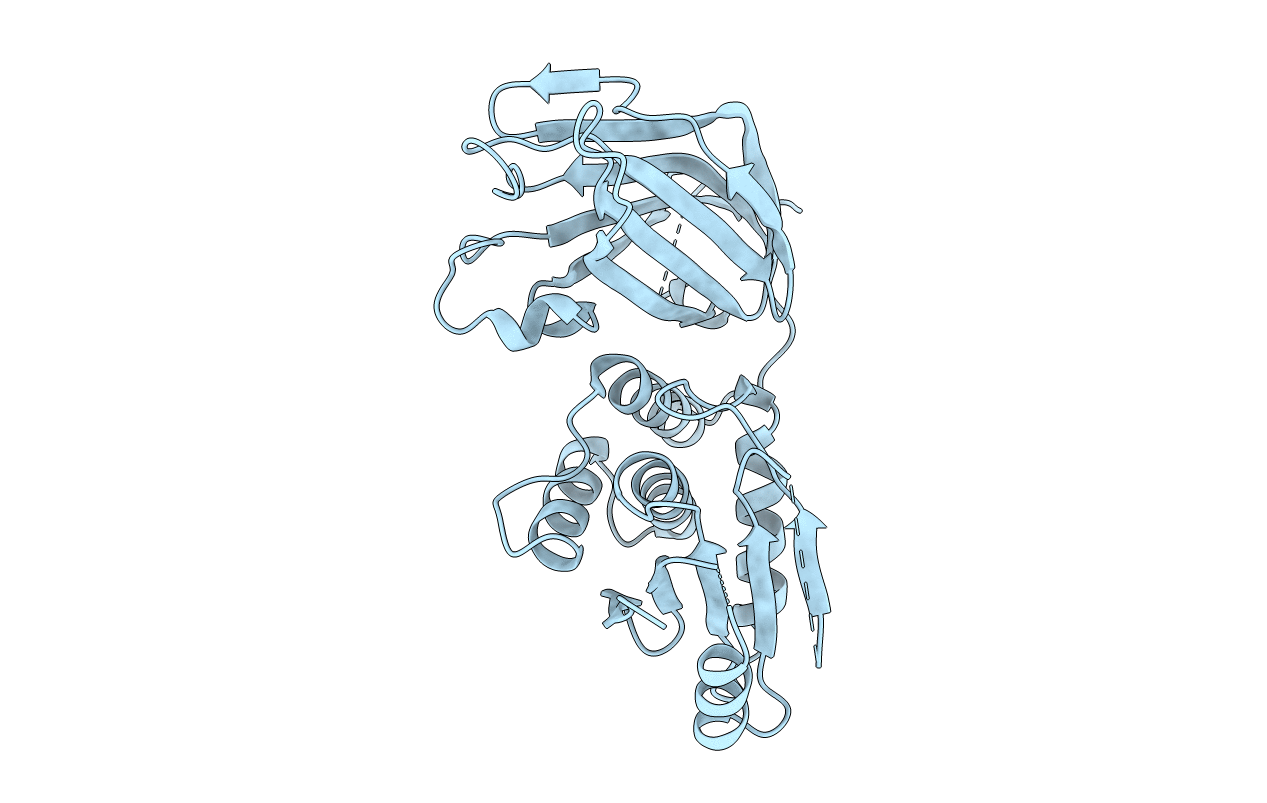 7JTX image