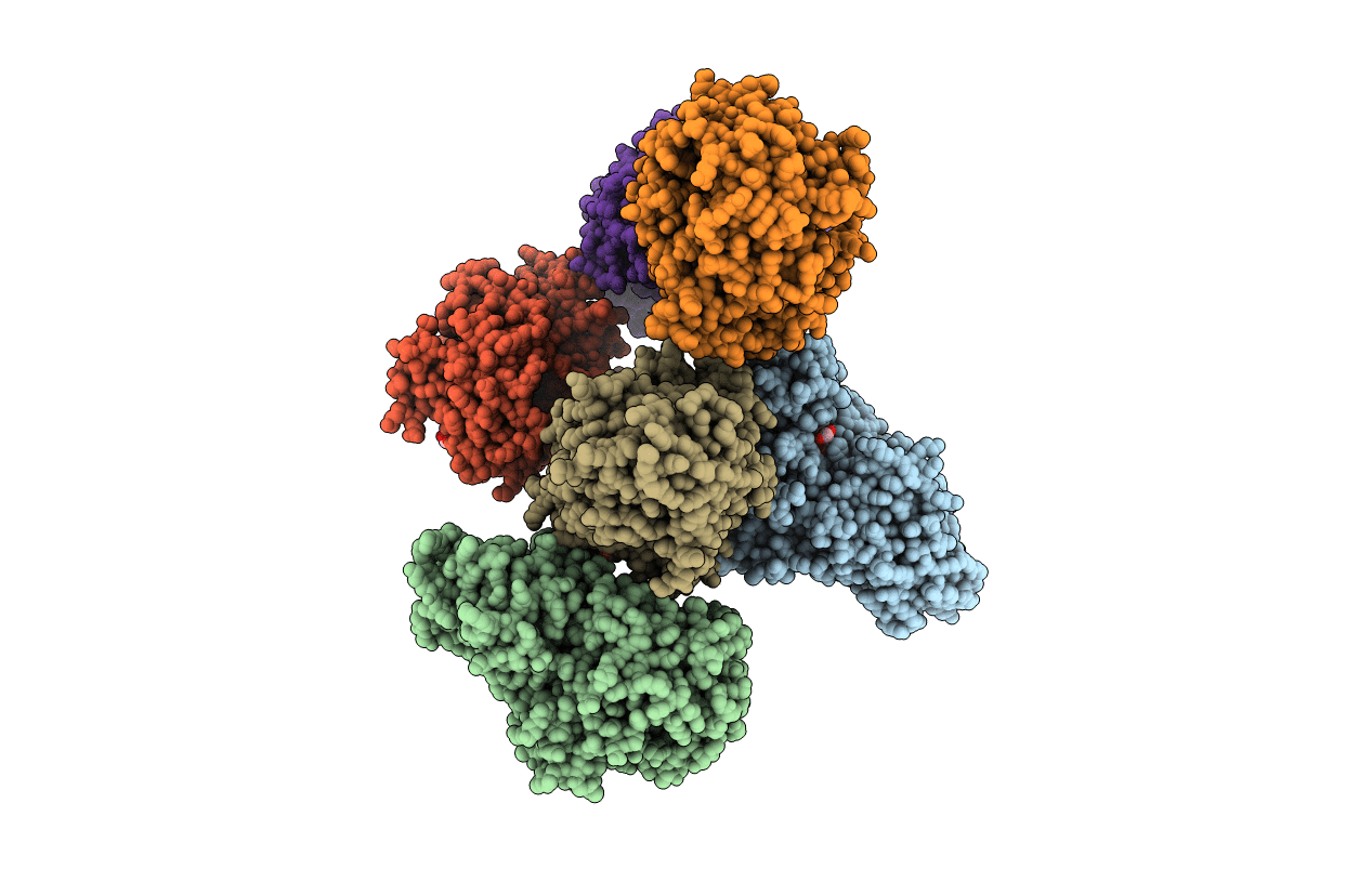 7JVH image