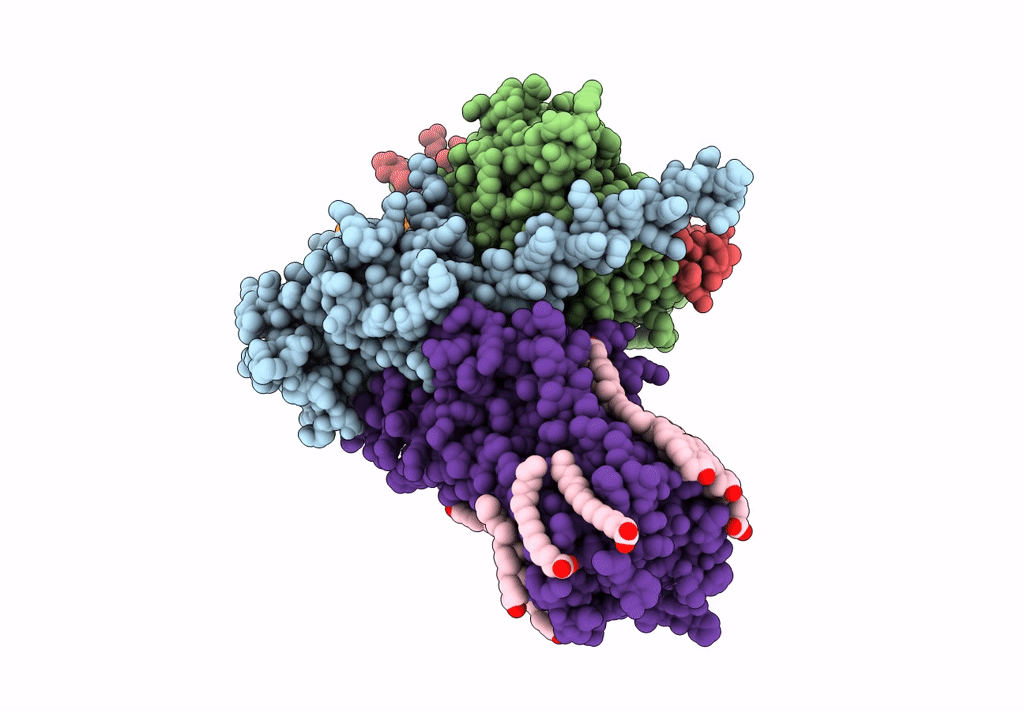 7JVP image