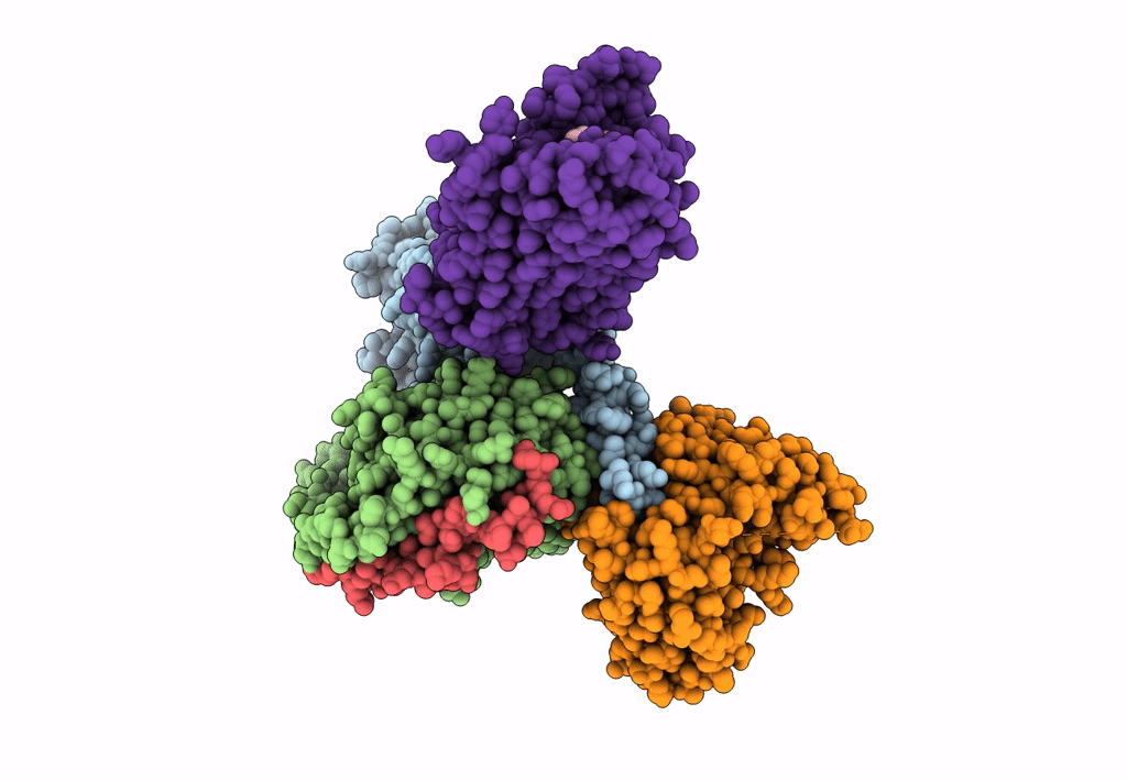7JVR image