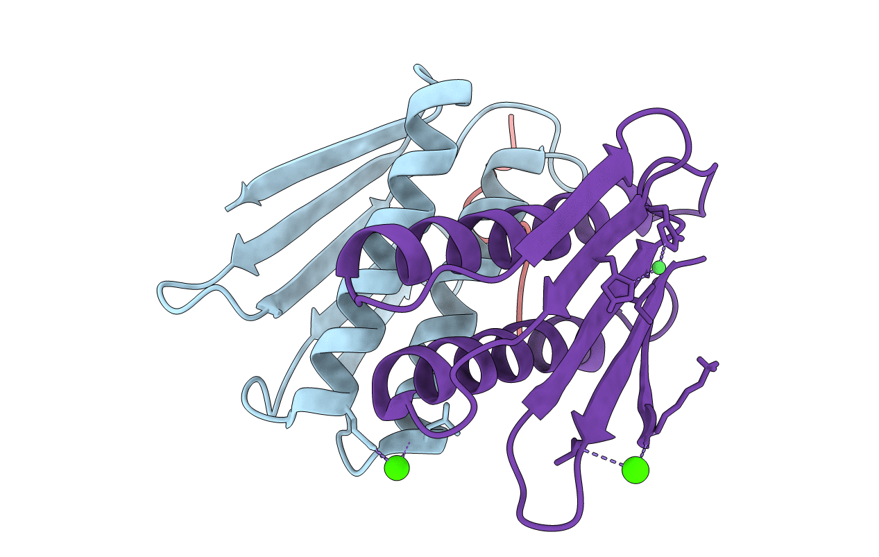 7JVS image