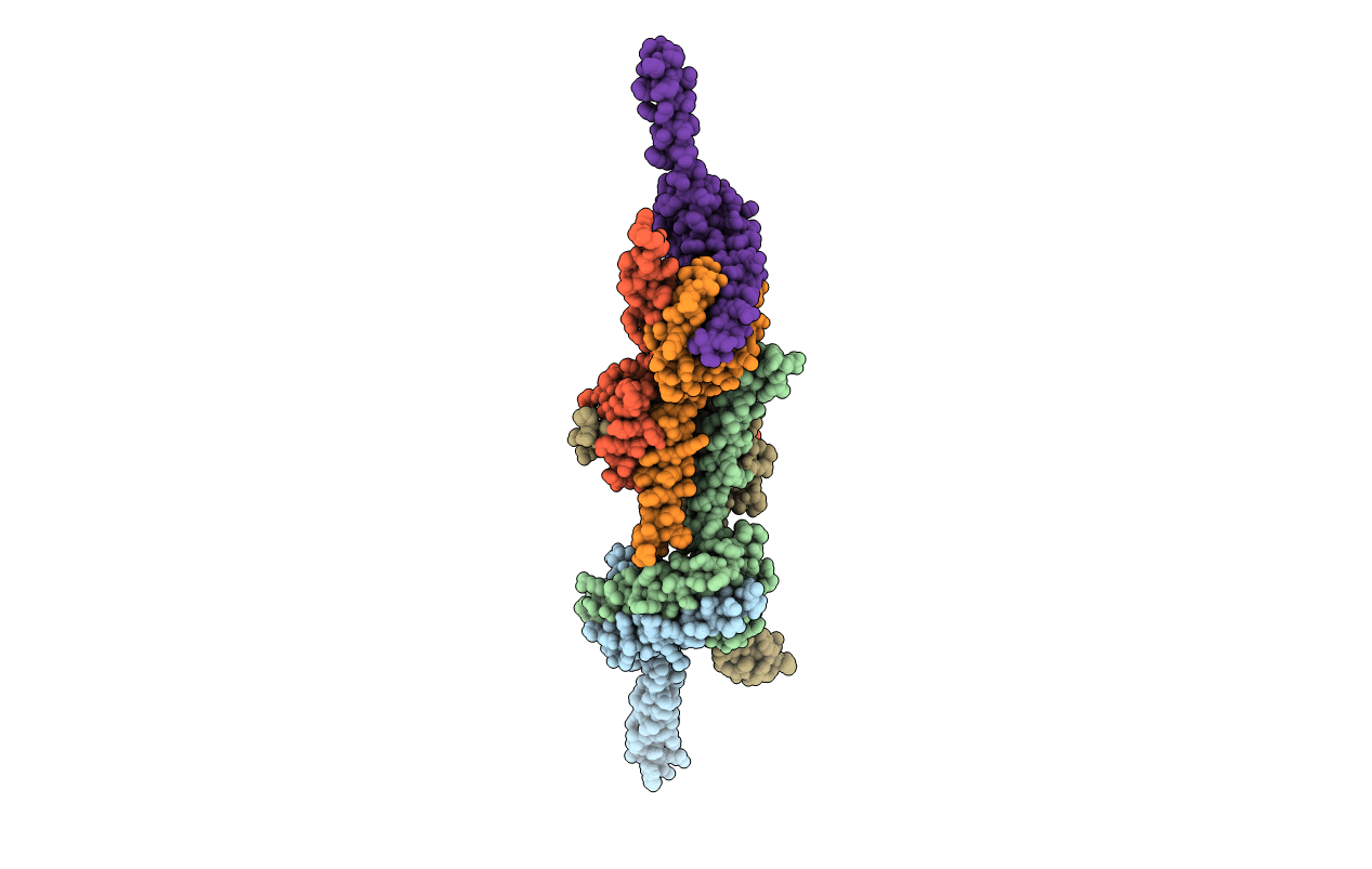 7K02 image
