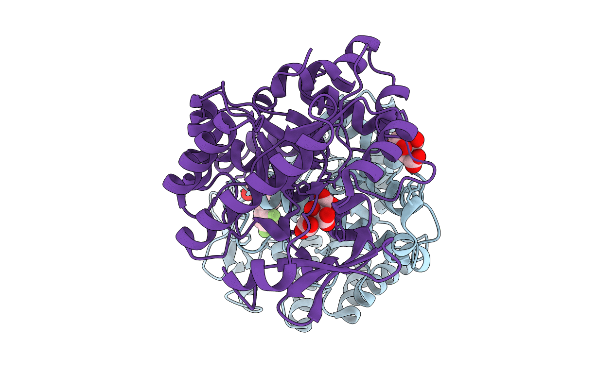 7K12 image
