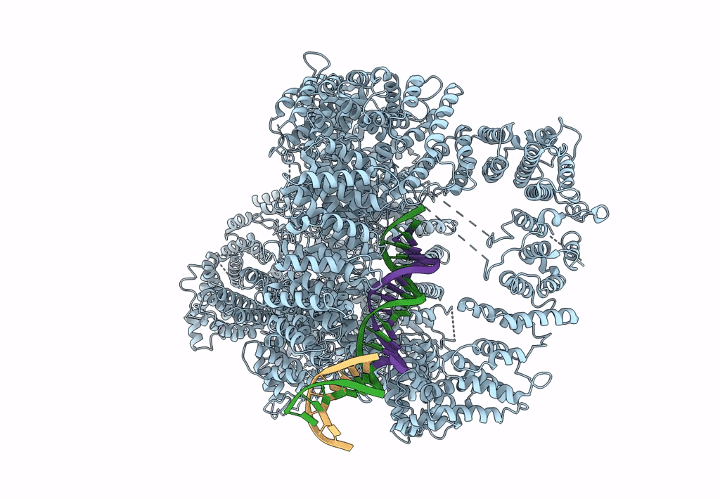 7K1B image