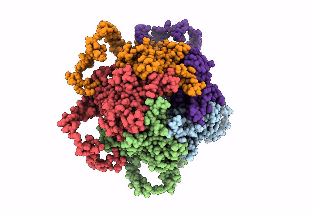 7K24 image