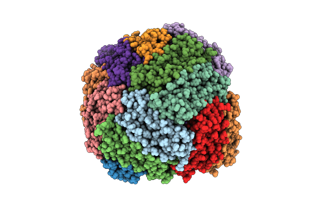 7K26 image