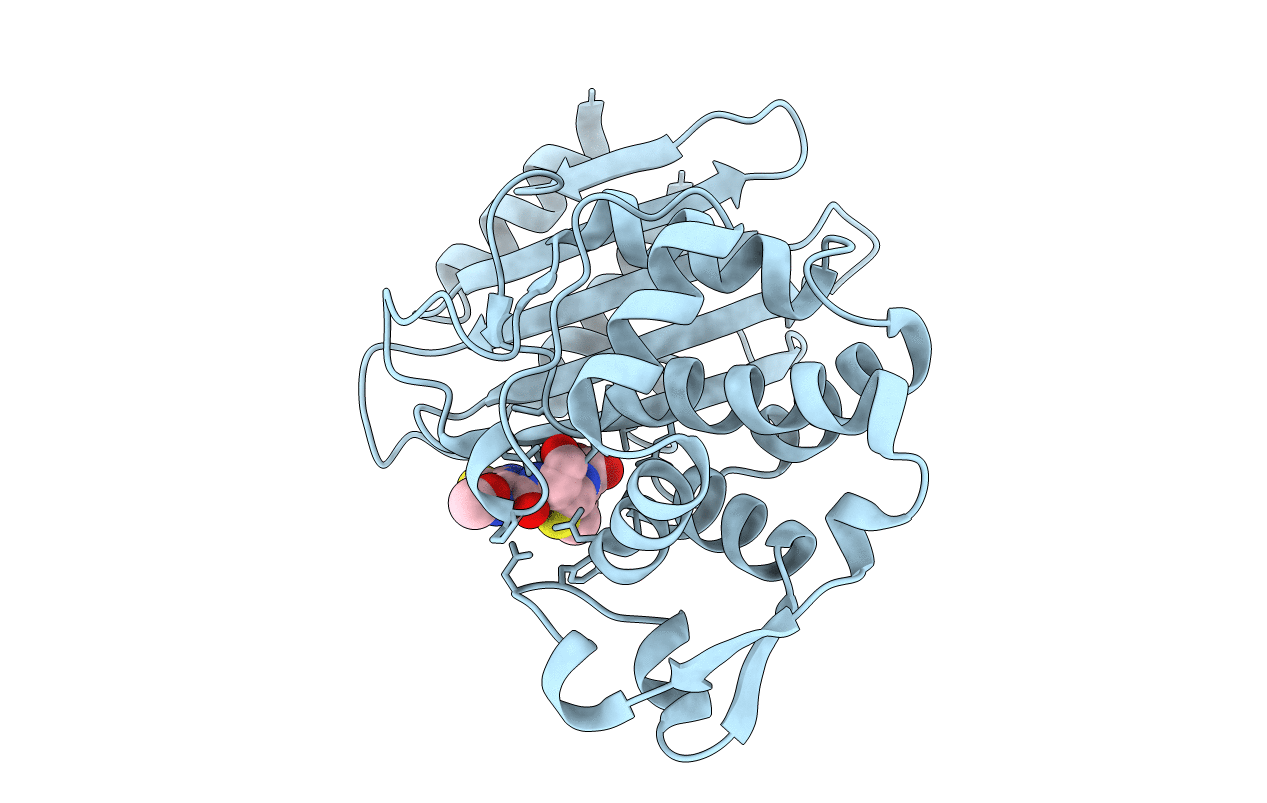 7K2W image