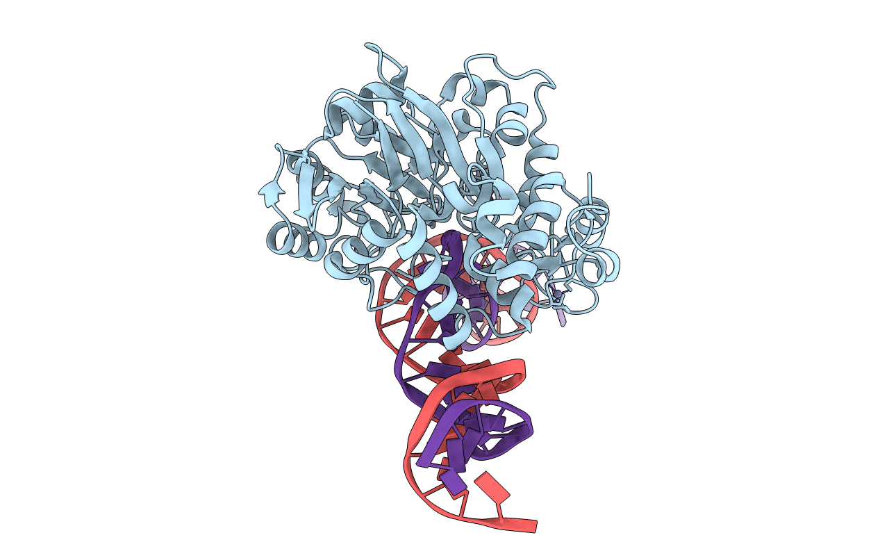 7K33 image