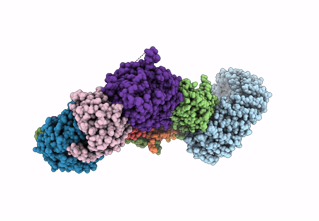 7K36 image