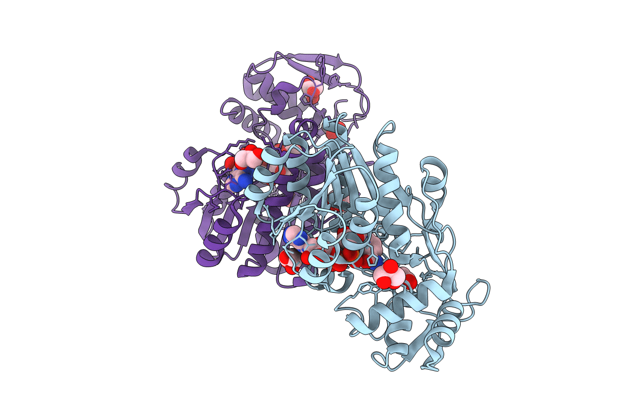 7K3P image