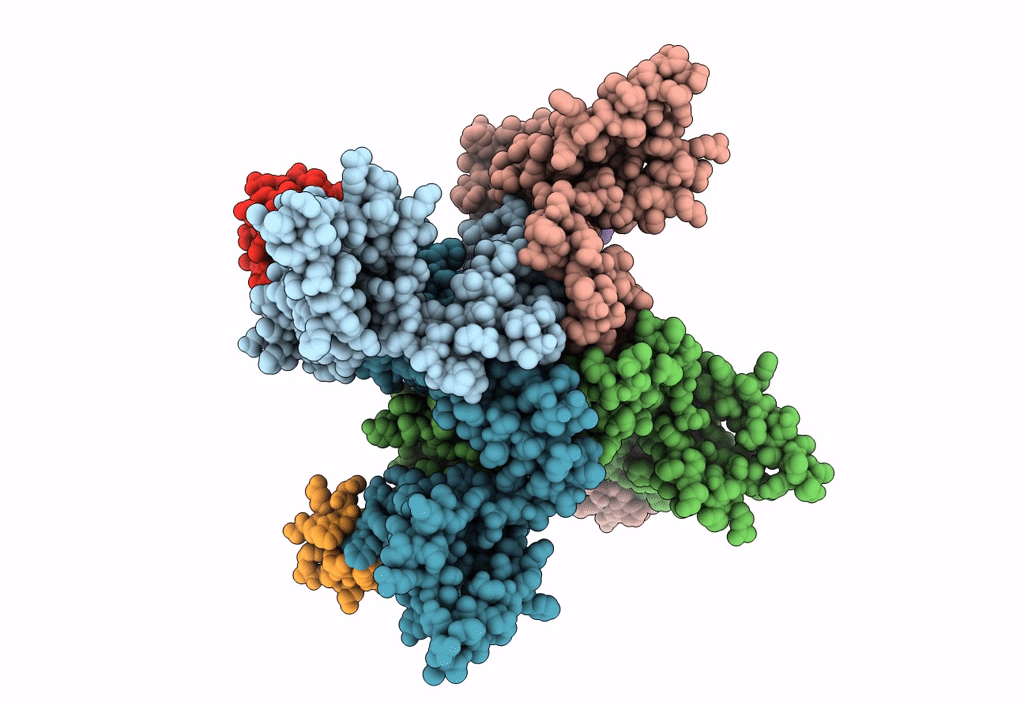 7K48 image