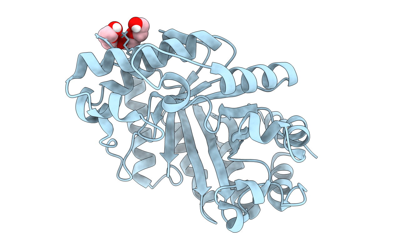 7K4V image
