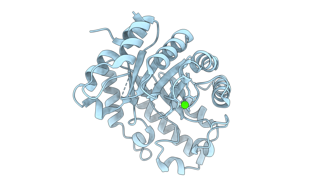 7K4W image