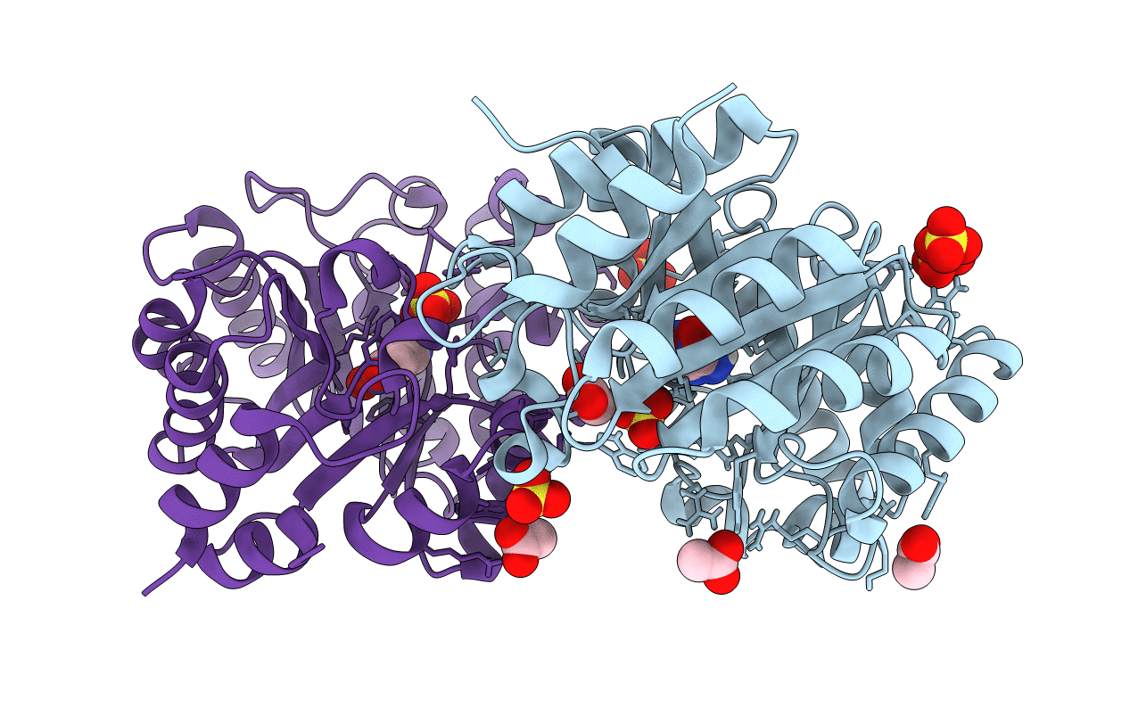 7K4X image