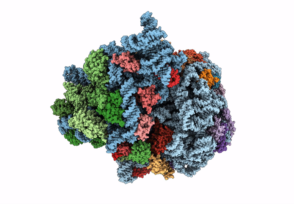 7K53 image