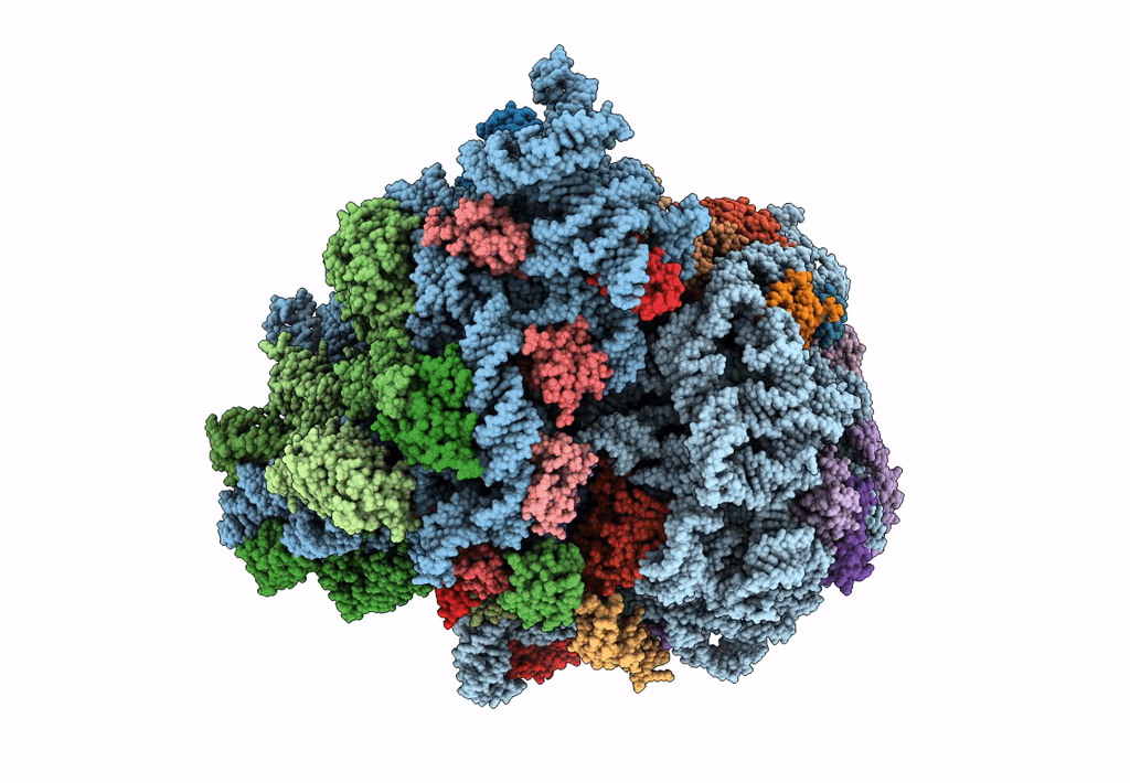 7K54 image