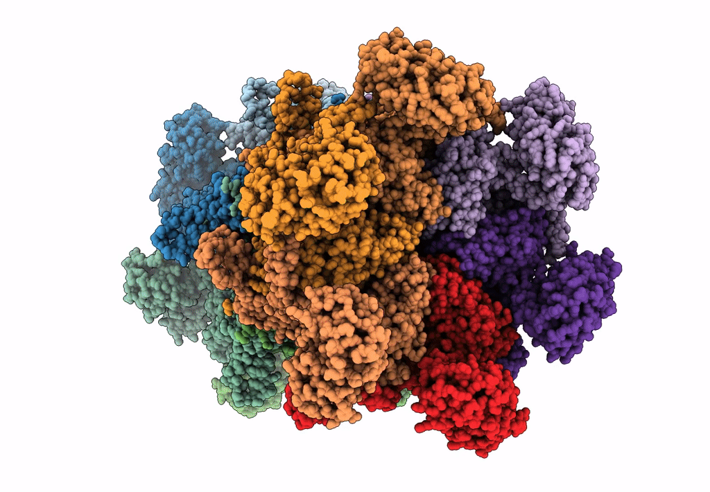 7K57 image
