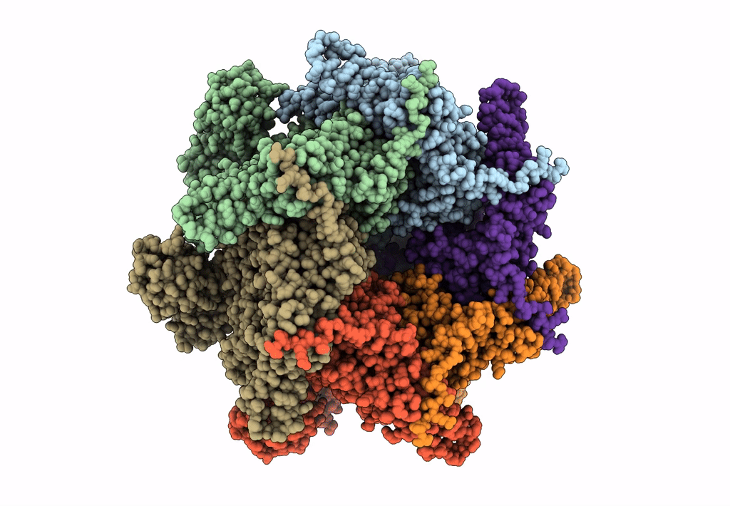 7K59 image