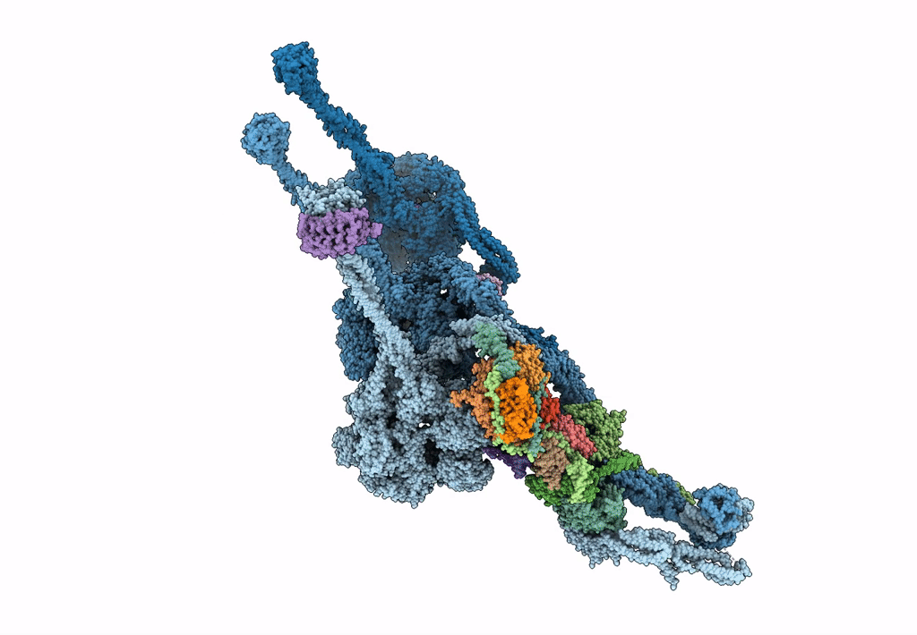 7K5B image