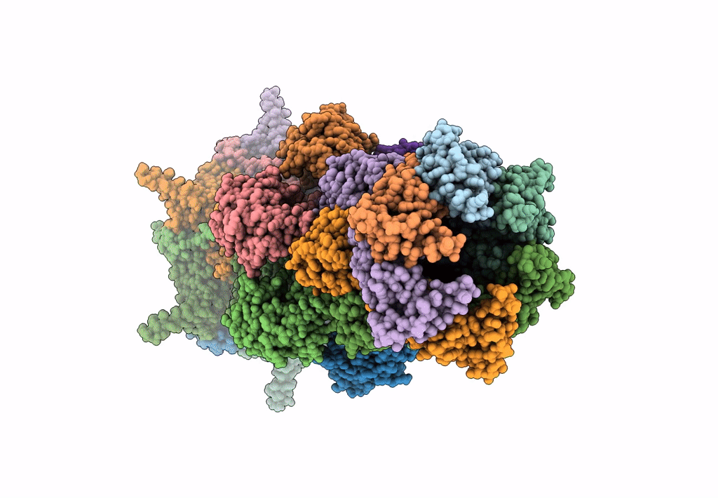 7K5C image