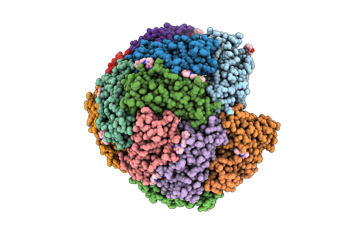 7K5G image