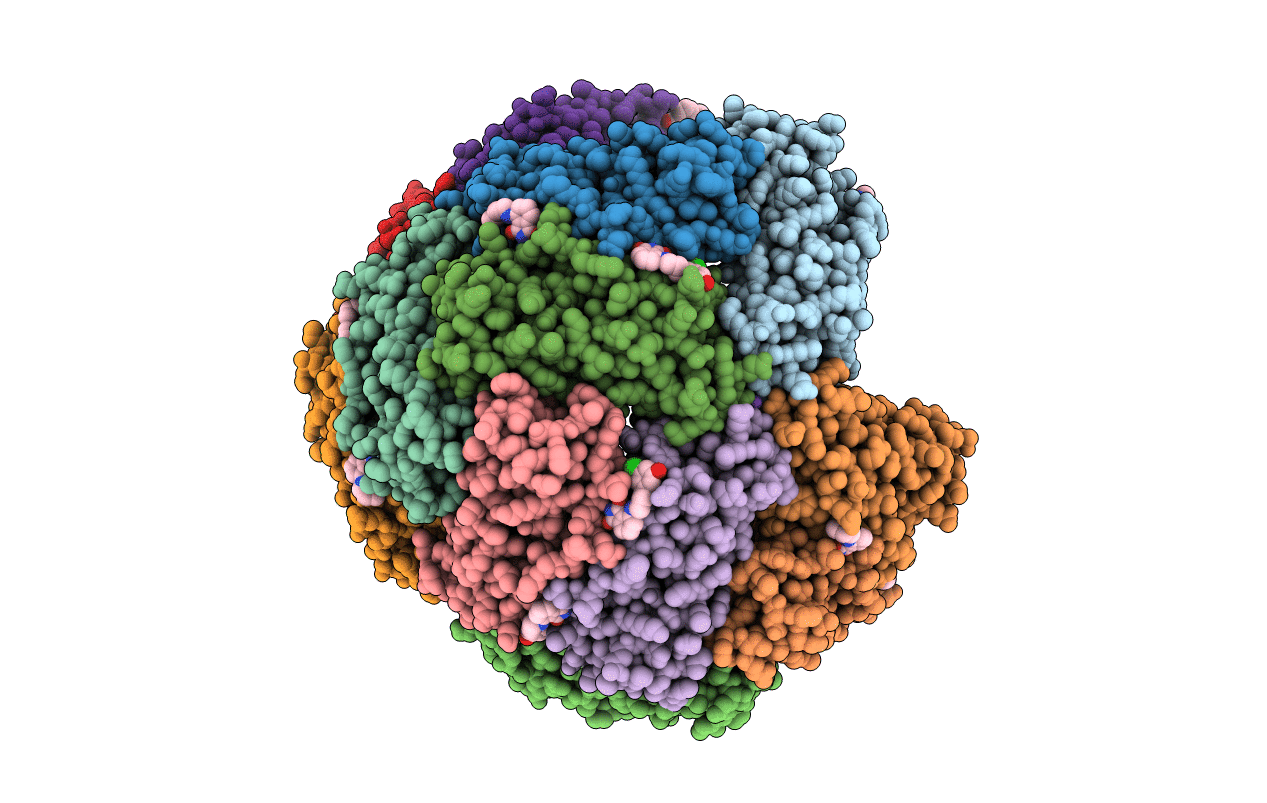 7K5H image
