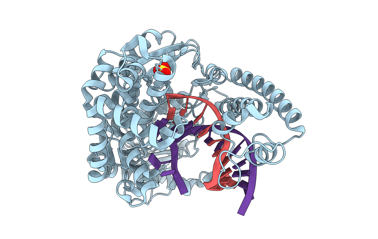 7K5P image