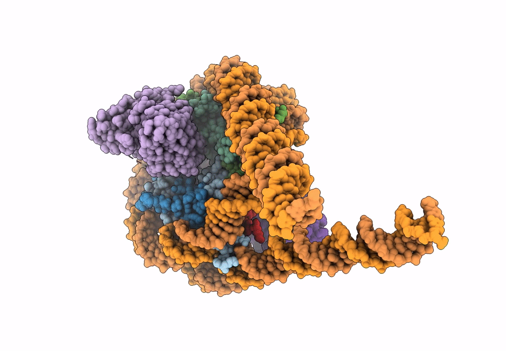 7K61 image