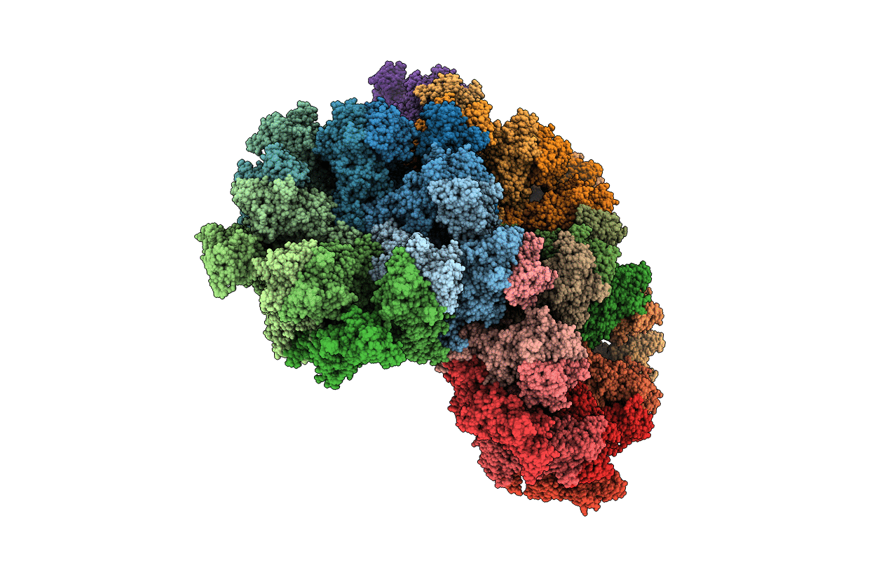 7k6v image