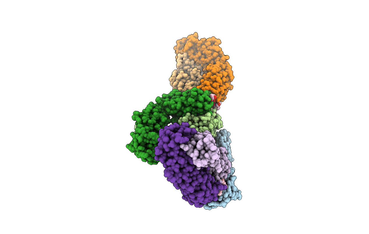7K75 image