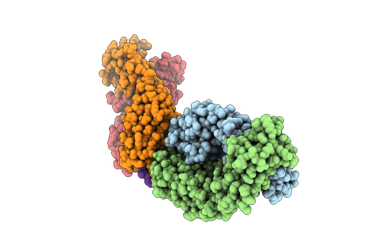 7K76 image